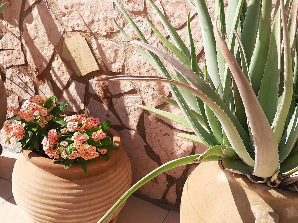 Aloe Villa Chania Crete Georgioupoli Eksteriør billede