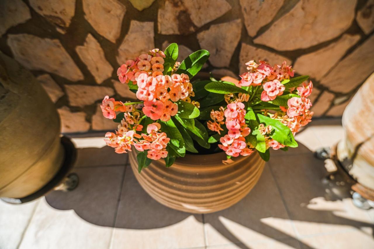 Aloe Villa Chania Crete Georgioupoli Eksteriør billede